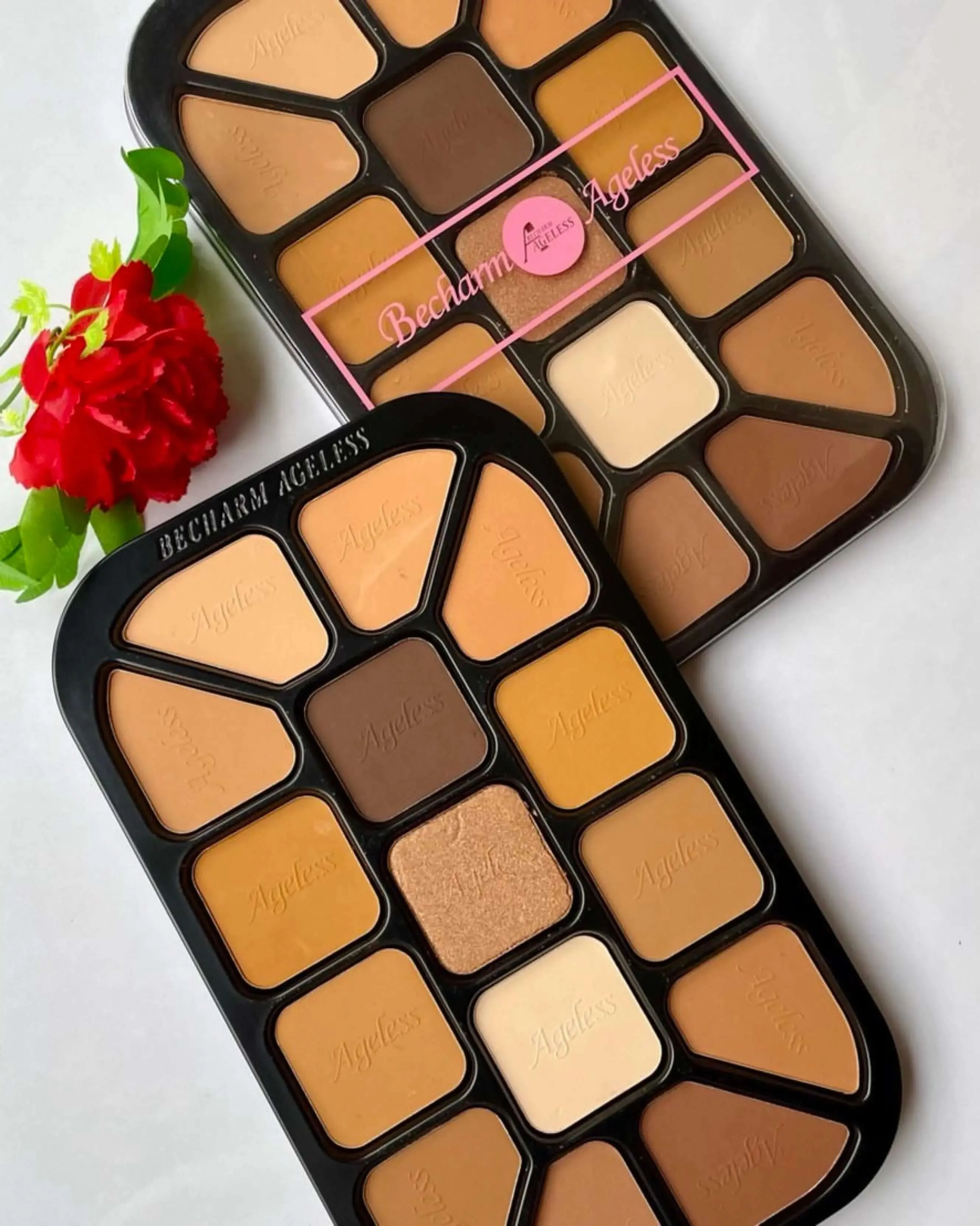 Becharm Ageless 15 in1 Powder Palette